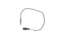 Sensor Abgastemperatur, Bild 12