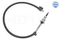 Sensor Abgastemperatur, Bild 1