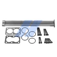 Reparatursatz, AGR-Modul