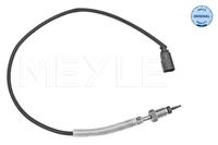 Sensor Abgastemperatur, Bild 1