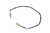 Sensor Abgastemperatur, Bild 11