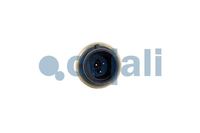 Sensor, Bild 2