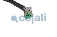 Sensor, Bild 3