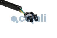 Sensor, Bild 4