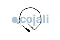 Sensor Abgastemperatur, Bild 1