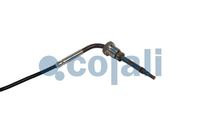 Sensor Abgastemperatur, Bild 2