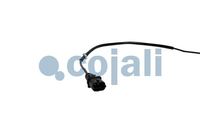 Sensor Abgastemperatur, Bild 3