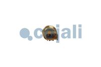 Sensor, Bild 3