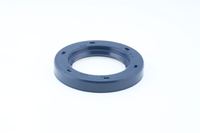 Wellen Dichtring Differential, Bild 1