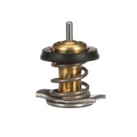 Thermostat, Kühlmittel, Bild 6