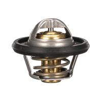 Thermostat Kühlwasser Kühlmittel, Bild 16