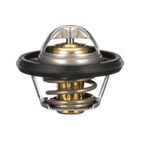 Thermostat Kühlwasser Kühlmittel, Bild 17