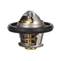 Thermostat Kühlwasser Kühlmittel, Bild 21
