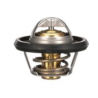 Thermostat Kühlwasser Kühlmittel, Bild 30
