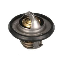 Thermostat Kühlwasser Kühlmittel, Bild 36