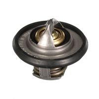 Thermostat Kühlwasser Kühlmittel, Bild 38