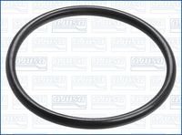Dichtung Thermostat