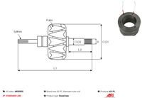 Stator Lichtmaschine Generator, Bild 3