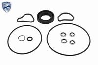 Dichtung Satz Hydraulikpumpe