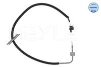Sensor Abgastemperatur, Bild 1