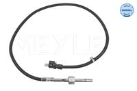 Sensor Abgastemperatur, Bild 1