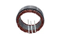 Stator Lichtmaschine Generator