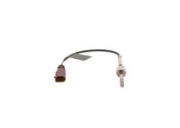 Sensor Abgastemperatur, Bild 1