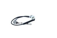 Sensor Abgastemperatur, Bild 36