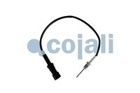 Sensor Abgastemperatur, Bild 1