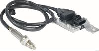 NOx Sensor Katalysator Kat