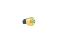 Sensor Kraftstoffdruck, Bild 36