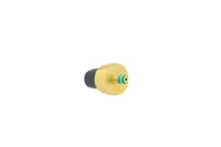 Sensor Kraftstoffdruck, Bild 37