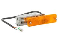 Set: 2 × Blinker vorne, Bild 2