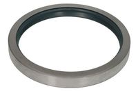 Dichtung Differential