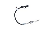 Sensor Abgastemperatur, Bild 35