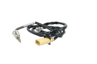 Sensor Abgastemperatur, Bild 13
