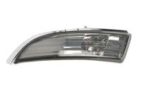 Blinker Blinkleuchte