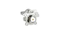 Thermostat Kühlwasser Kühlmittel, Bild 26