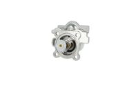 Thermostat Kühlwasser Kühlmittel, Bild 31