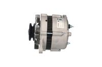 Lichtmaschine Generator, Bild 2
