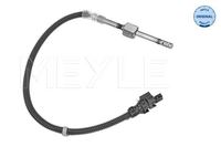 Sensor Abgastemperatur, Bild 1