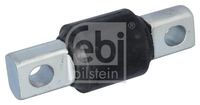 Federbuchs Blattfeder, Bild 2