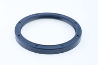 Wellen Dichtring Differential, Bild 2