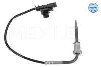 Sensor Abgastemperatur, Bild 1