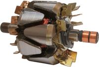 Läufer Generator
