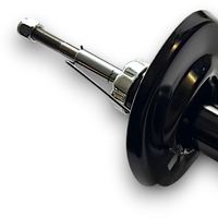 Gas-Stoßdämpfer, Bild 10
