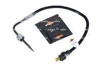 Sensor Abgastemperatur, Bild 1