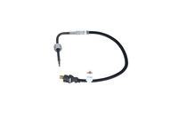 Sensor Abgastemperatur, Bild 13