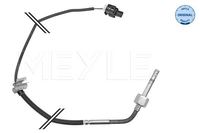 Sensor Abgastemperatur, Bild 1
