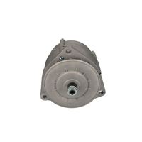 Lichtmaschine Generator, Bild 5